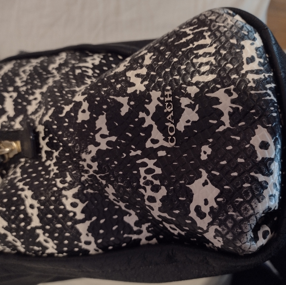 Coach Madison Phoebe Python Shoulder Bag - image 6